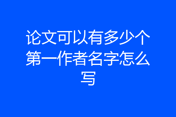 论文可以有多少个第一作者名字怎么写