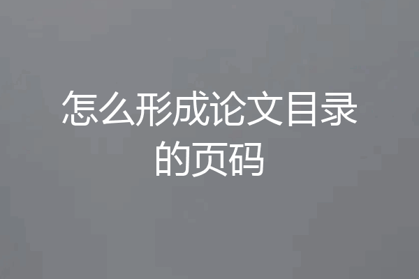 怎么形成论文目录的页码