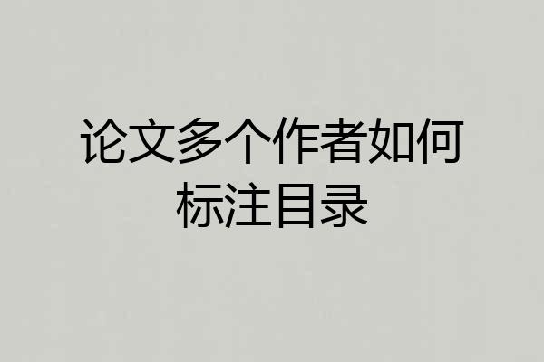 论文多个作者如何标注目录