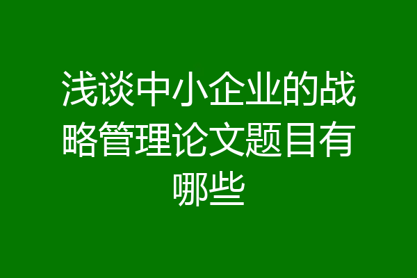 浅谈中小企业的战略管理论文题目有哪些