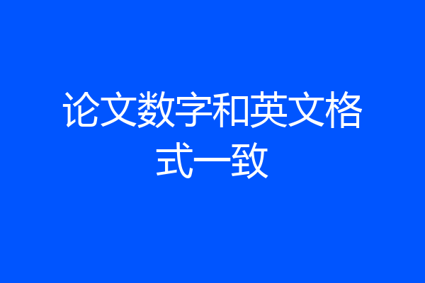 论文数字和英文格式一致