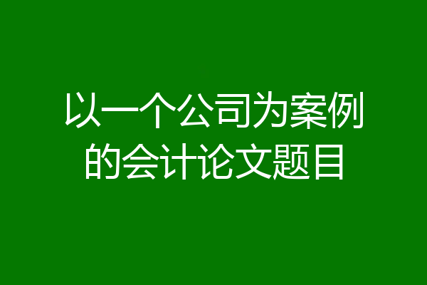 以一个公司为案例的会计论文题目