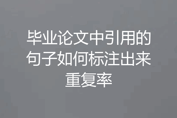 毕业论文中引用的句子如何标注出来重复率