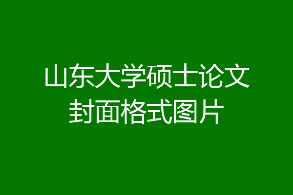 山东大学硕士论文封面格式图片