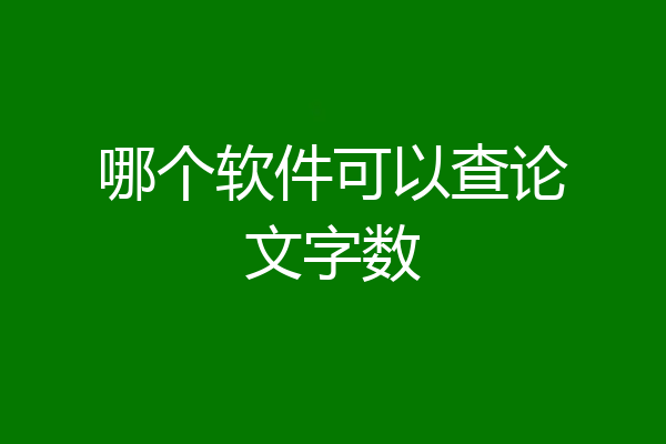 哪个软件可以查论文字数