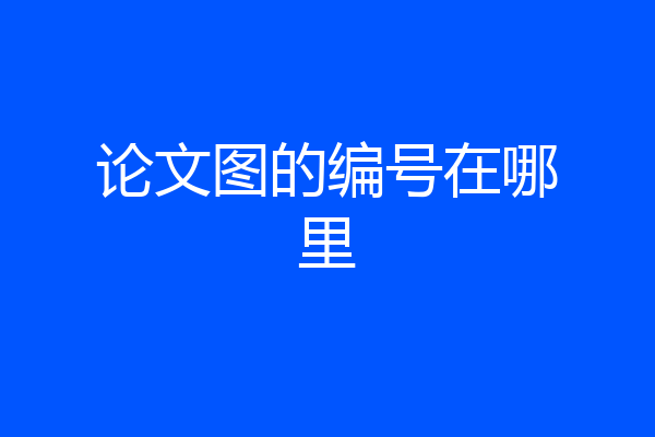 论文图的编号在哪里