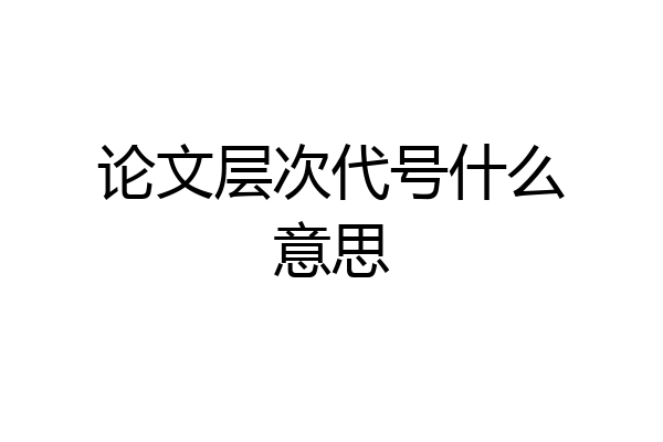 论文层次代号什么意思