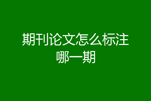 期刊论文怎么标注哪一期