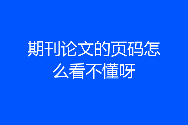 期刊论文的页码怎么看不懂呀