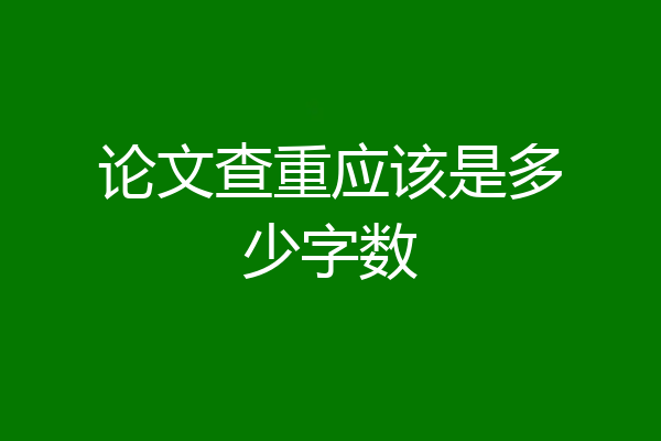 论文查重应该是多少字数