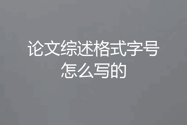 论文综述格式字号怎么写的
