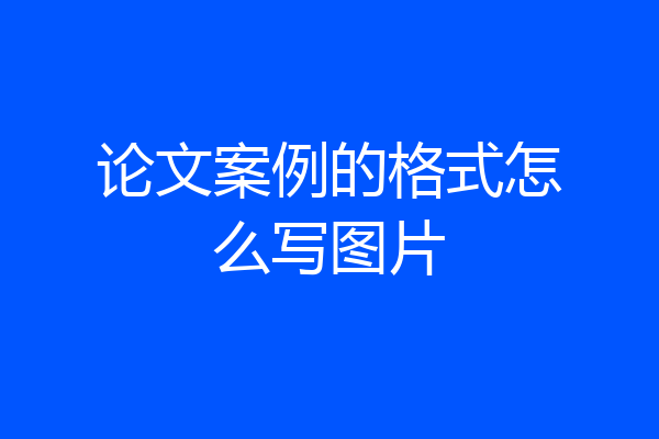 论文案例的格式怎么写图片