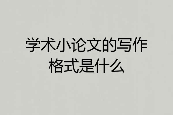 学术小论文的写作格式是什么