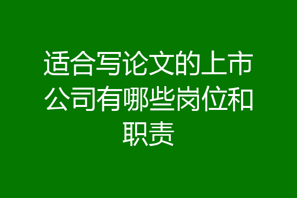 适合写论文的上市公司有哪些岗位和职责