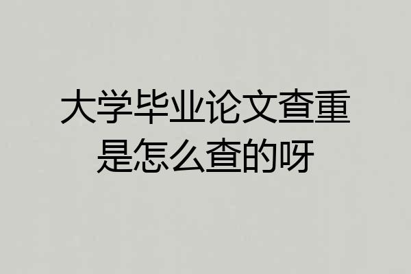 大学毕业论文查重是怎么查的呀