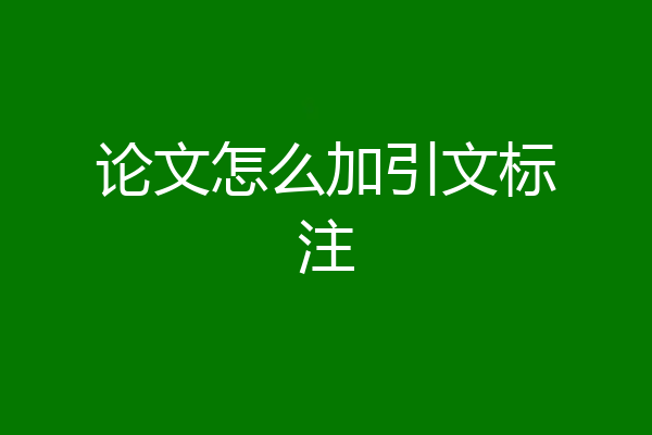 论文怎么加引文标注