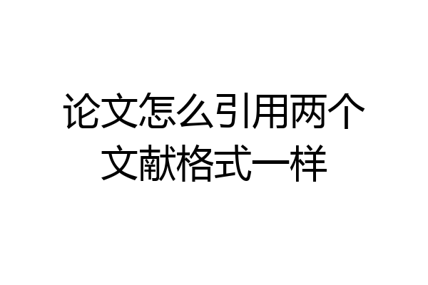 论文怎么引用两个文献格式一样