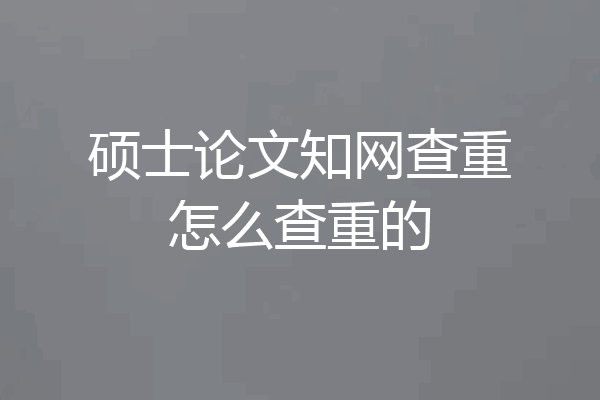 硕士论文知网查重怎么查重的