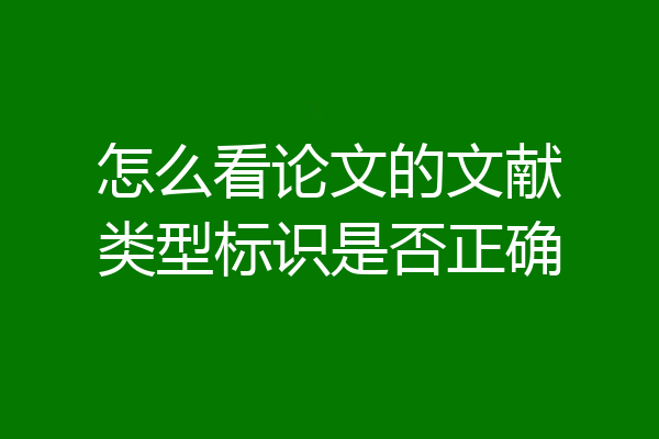怎么看论文的文献类型标识是否正确