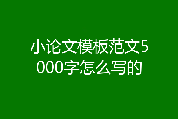 小论文模板范文5000字怎么写的