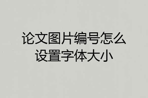论文图片编号怎么设置字体大小