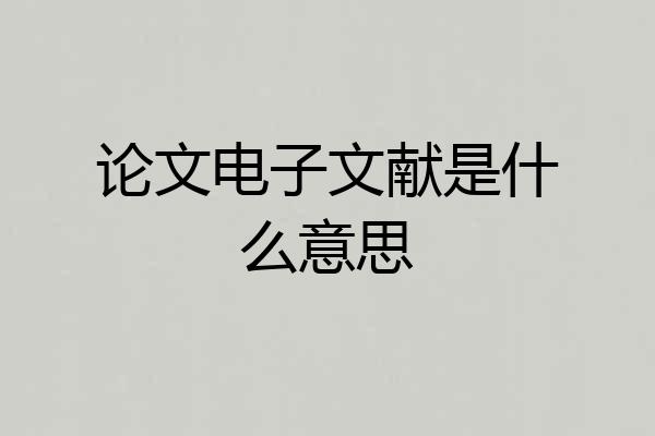 论文电子文献是什么意思