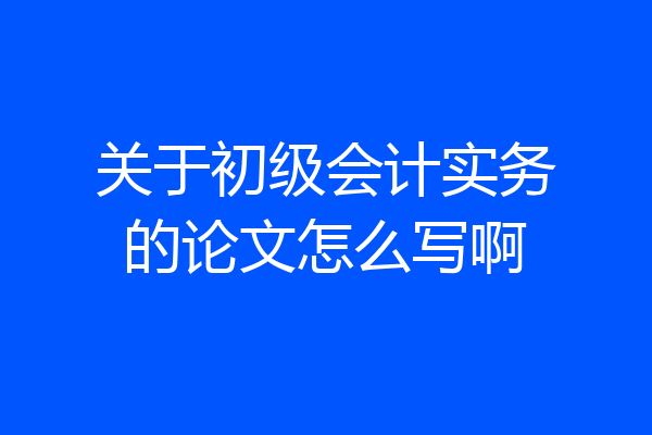 关于初级会计实务的论文怎么写啊