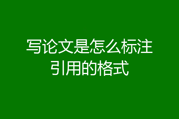 写论文是怎么标注引用的格式
