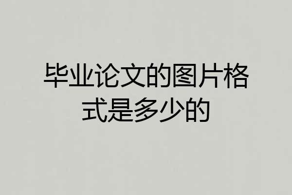 毕业论文的图片格式是多少的
