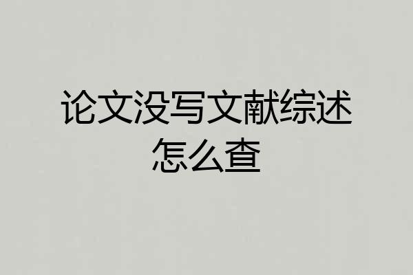 论文没写文献综述怎么查