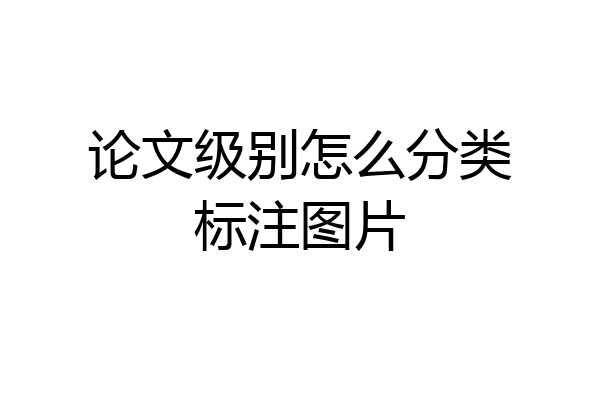 论文级别怎么分类标注图片