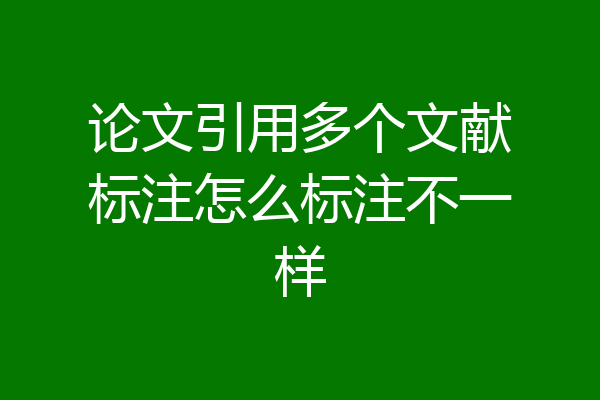 论文引用多个文献标注怎么标注不一样