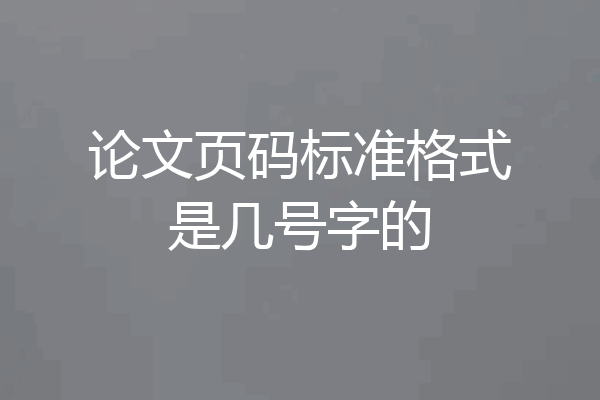 论文页码标准格式是几号字的