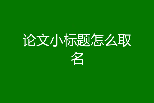 论文小标题怎么取名
