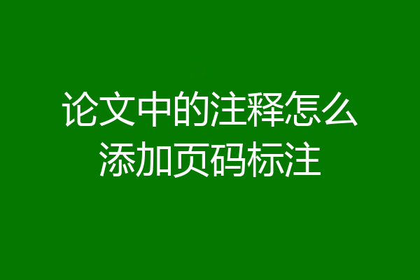 论文中的注释怎么添加页码标注
