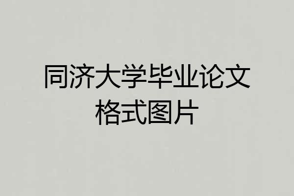 同济大学毕业论文格式图片