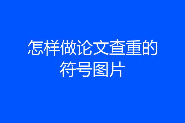 怎样做论文查重的符号图片