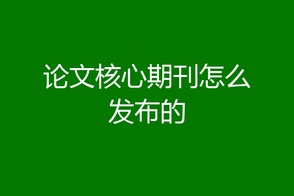 论文核心期刊怎么发布的