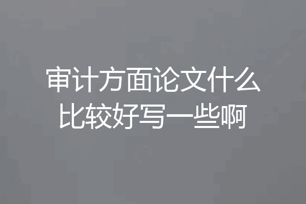 审计方面论文什么比较好写一些啊