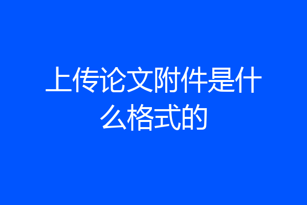上传论文附件是什么格式的