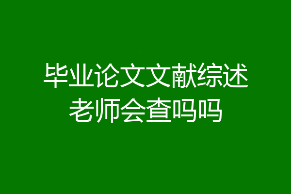 毕业论文文献综述老师会查吗吗