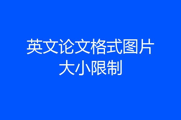 英文论文格式图片大小限制