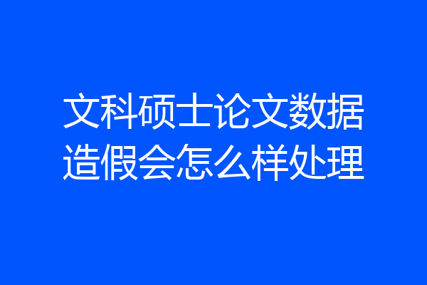 文科硕士论文数据造假会怎么样处理