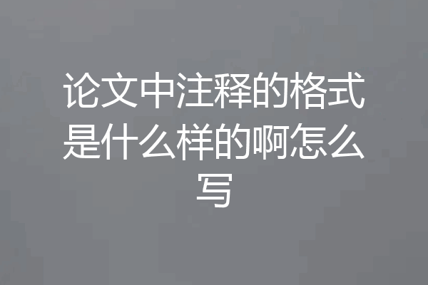 论文中注释的格式是什么样的啊怎么写