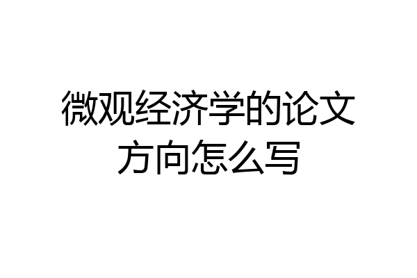微观经济学的论文方向怎么写