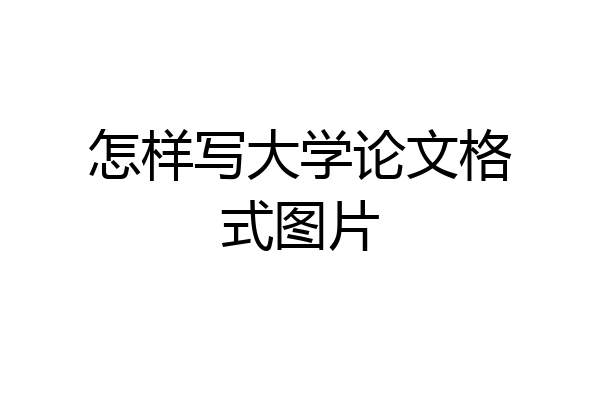 怎样写大学论文格式图片
