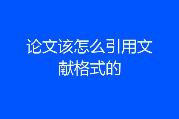 论文该怎么引用文献格式的