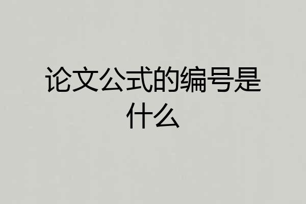 论文公式的编号是什么