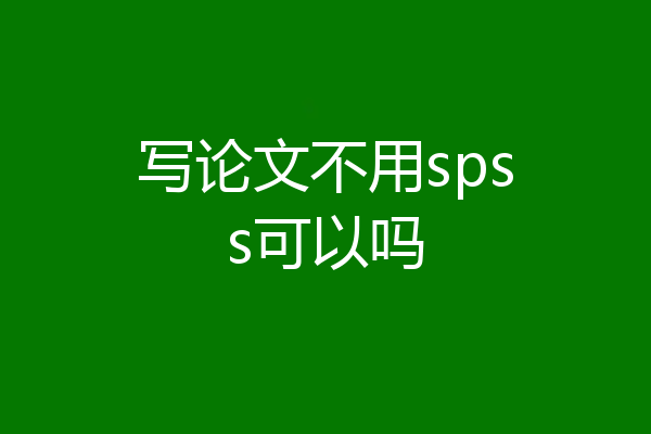 写论文不用spss可以吗