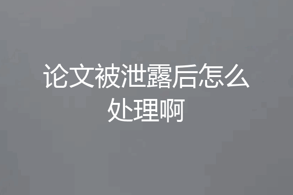 论文被泄露后怎么处理啊